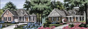 Elevation of homes in Bolivia, NC's Reserve at Palmetto Creek