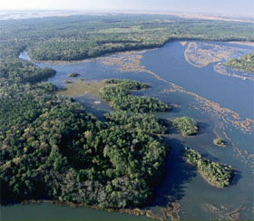 Bluffton, SC. Aerial view of marshes and forest