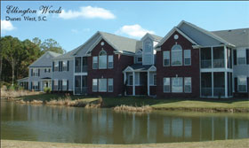 Photo of townhomes taken across a waterway in Ellington Woods in Dunes West - Mt Pleasant, SC