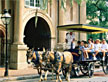 Charleston, SC - Horse and Carriage.