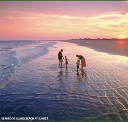 Kiawah Island Real Estate on Seabrook Island  South Carolina   Cities And Towns In The Charleston