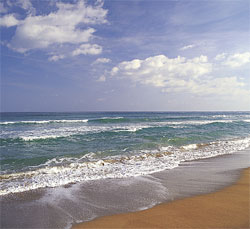 BEACH PHOTO: A beautiful day to be at the beach.